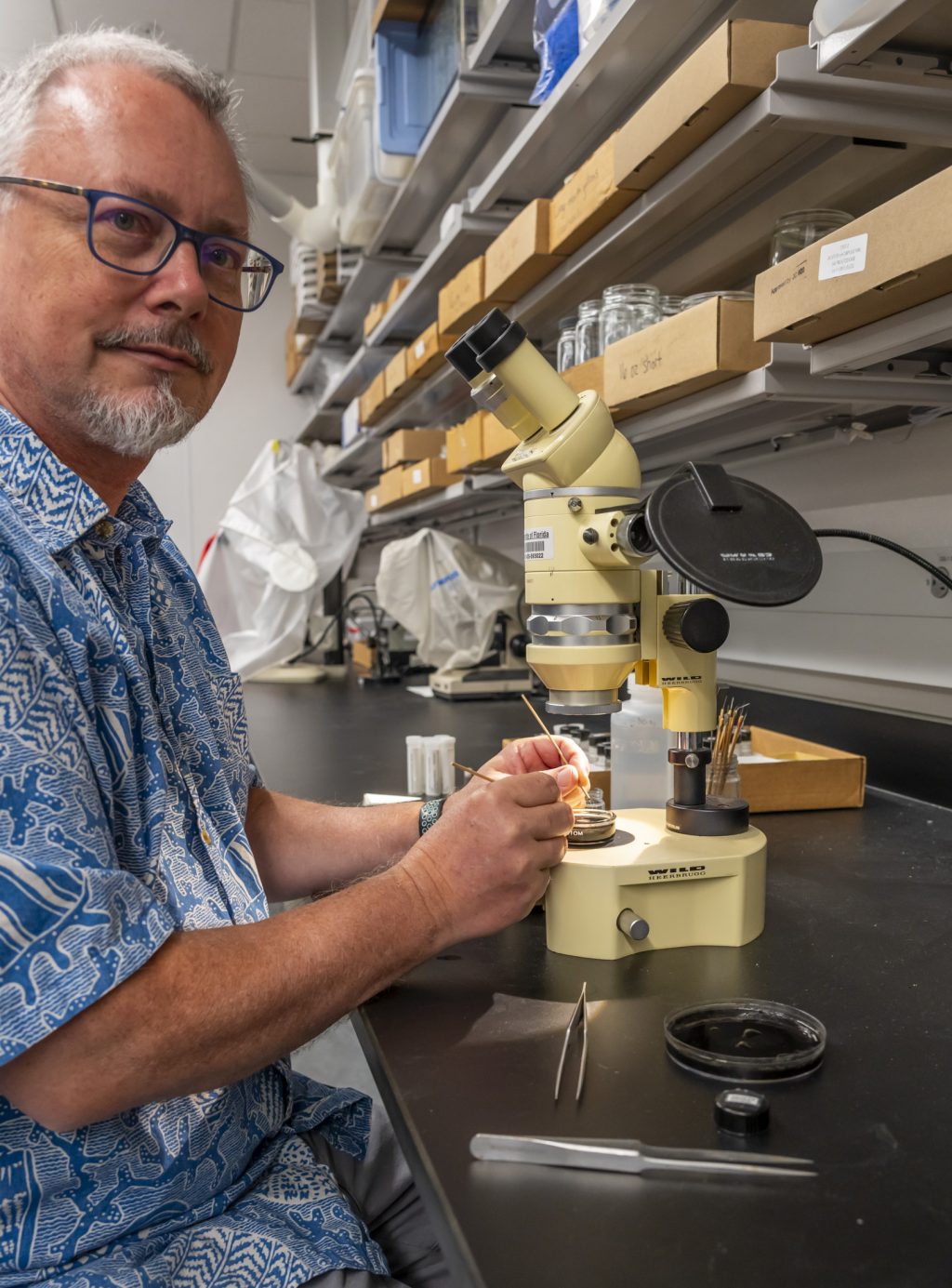 John Slapcinsky sits at a microscope in a laboratory.