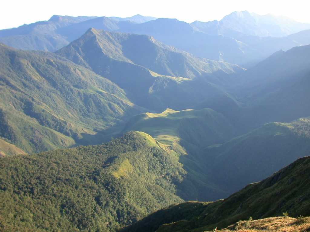 A wide shot of the forested mountains of Papua New Guinea.