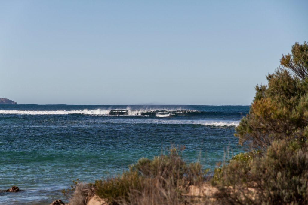 Beach landscape photo with trees in the background and a long, breaking wave in the background.