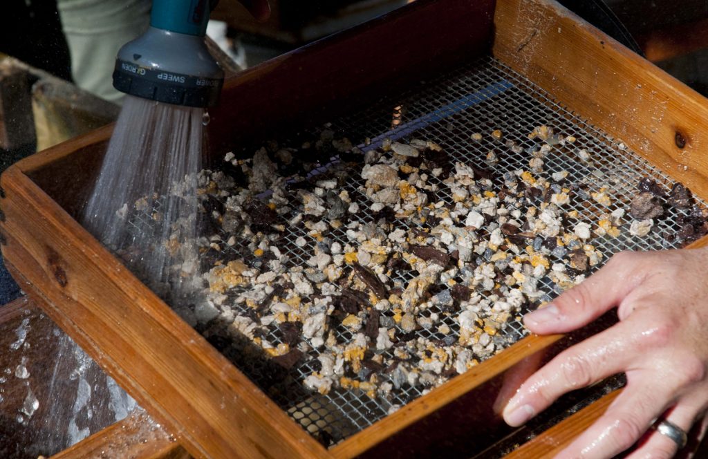 Photo of screenwashing process