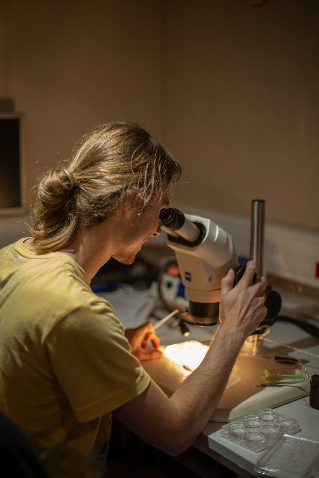 Photograph of someone looking at a specimen through a microscope.