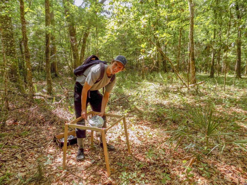 Person standing in front of a collection device in a forest.