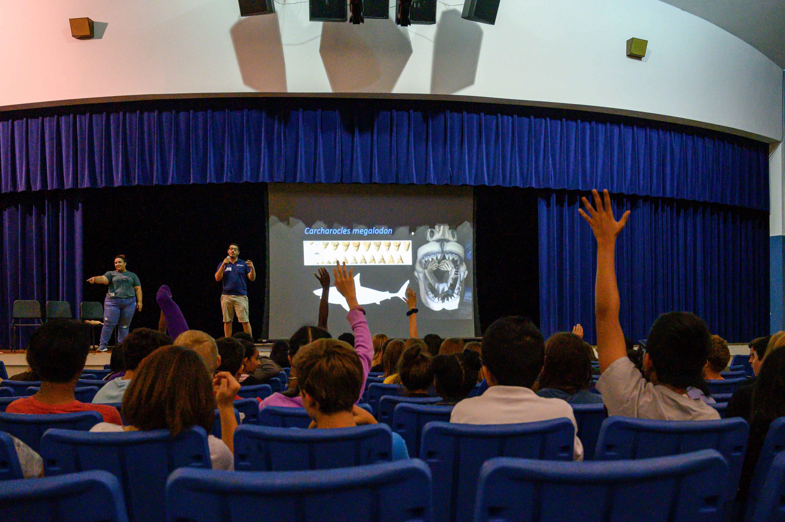 Person gives a presentation on Megalodon sharks in an auditorium full of young students. 