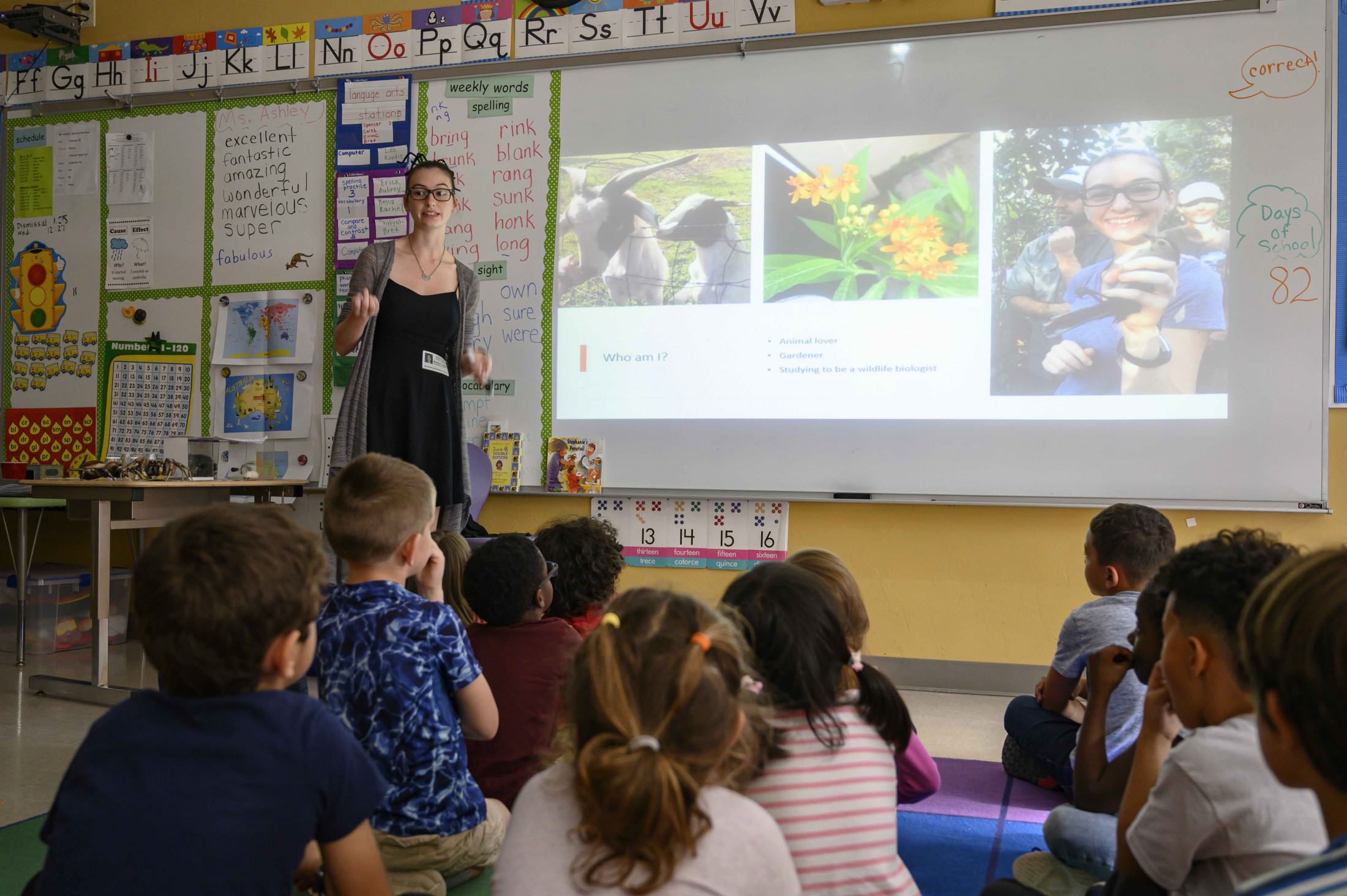 Person gives lecture to classroom full of young students.