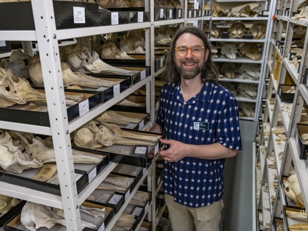 Person stands between shelves full of marine mammal specimens.