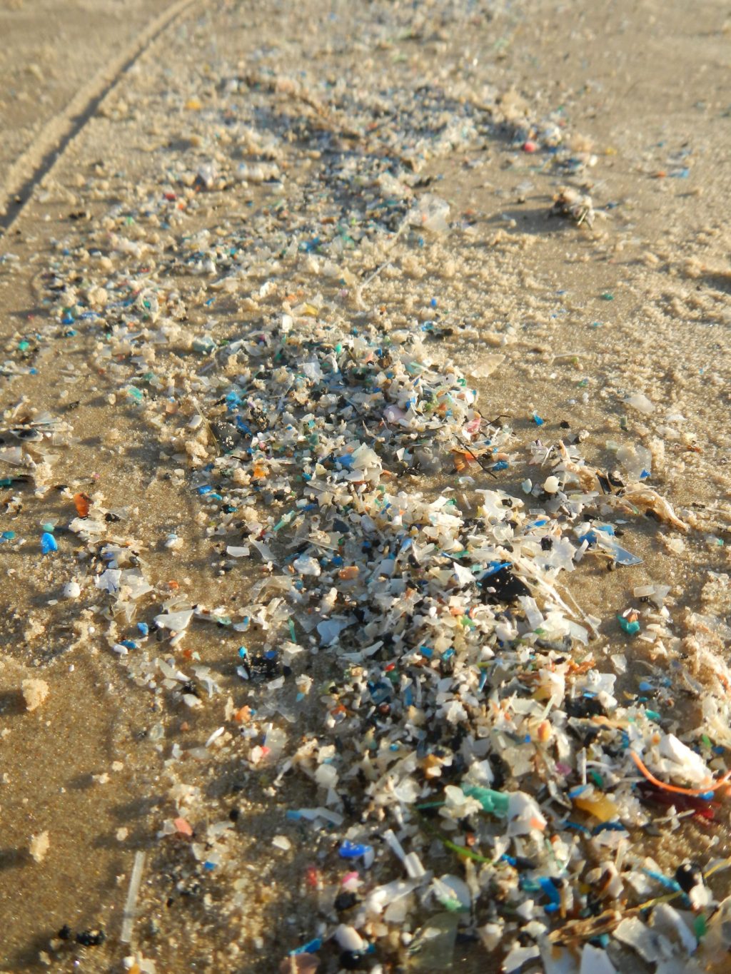 Photo of microplastics washed up on a beach