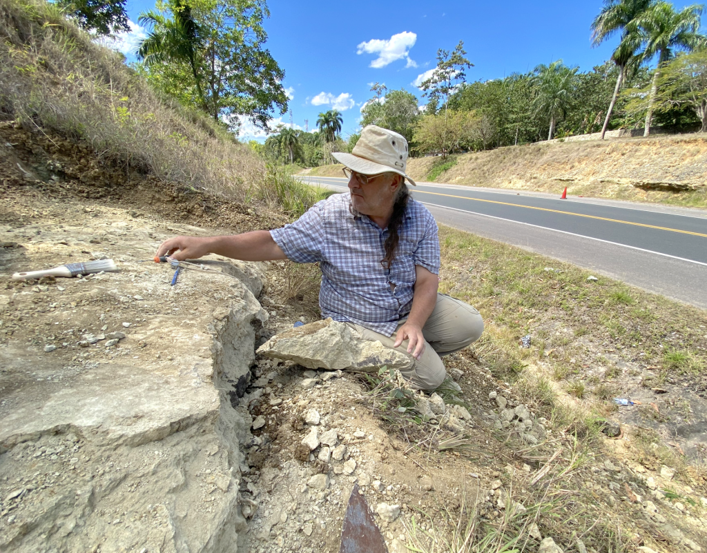 A person sits looking for fossils on the edge of a rock outcrop along the side of a road.
