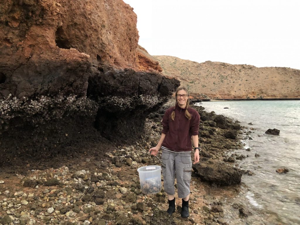 Photograph of a person standing on a rocky beach with a bucket.