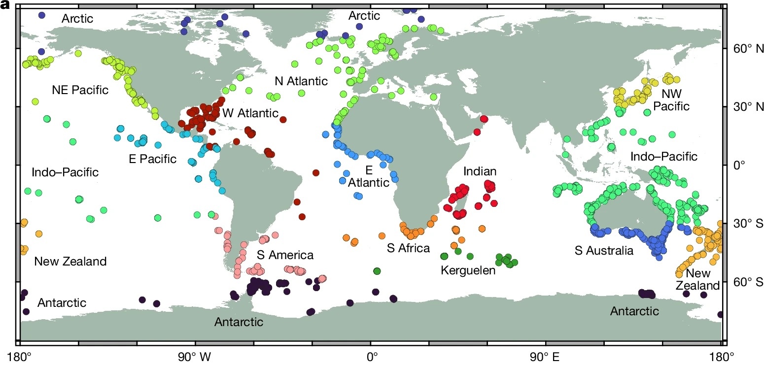 Figure showing a map of the world with colorful dots indicating sites where brittle star samples were collected.