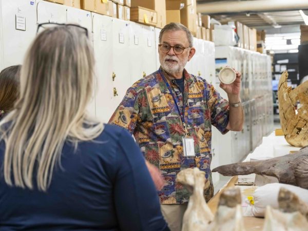 People standing inside a museum collection room looking at someone holding a fossil.