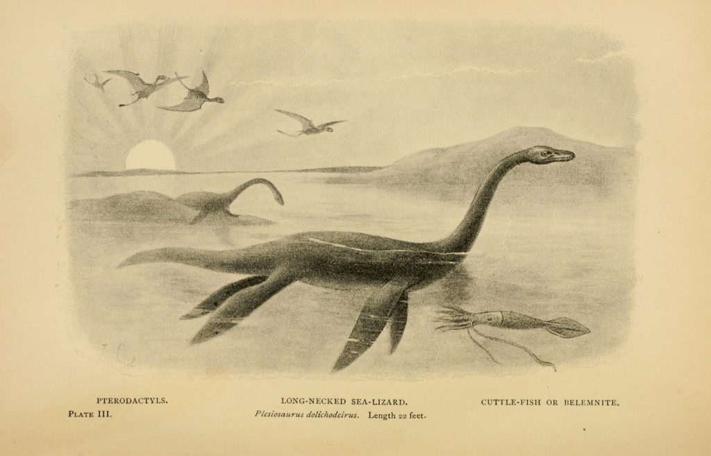 Illustration of a long-necked and long-finned animal swimming in water with birds and other animals in the distance.