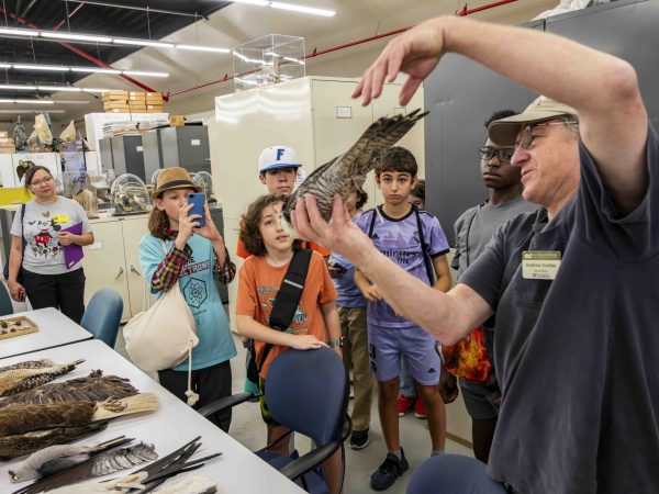 Person holds a bird specimen up for a group of children to see.