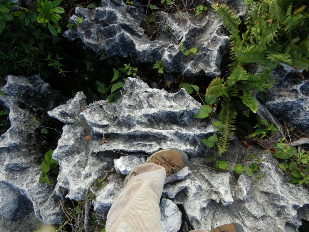 First-person perspective photo of a person looking down at sharpened limestone.