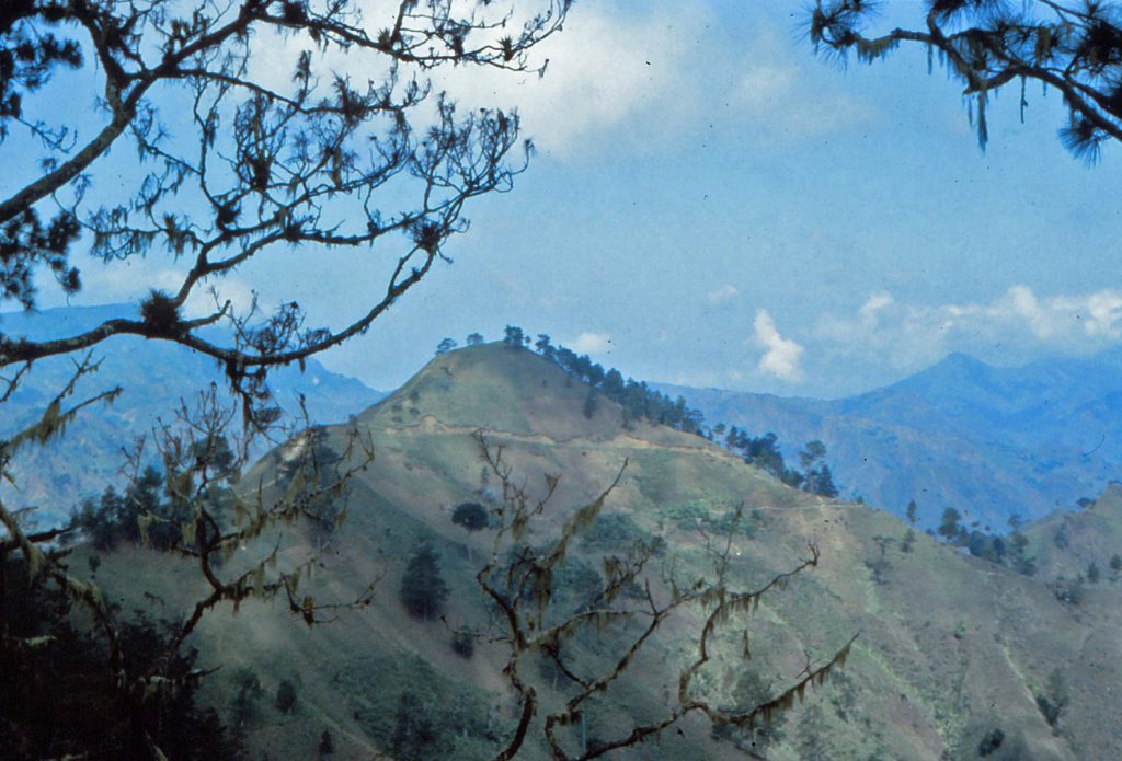 Photo of a mountain peak with sparse vegetation.