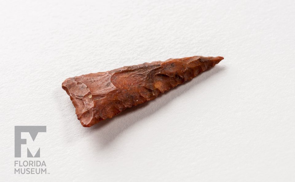 Florida Projectile Points