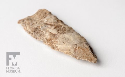 Florida Projectile Points