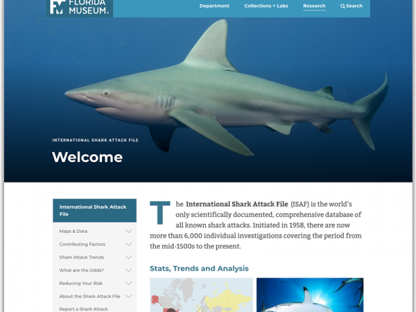 Shark Attacks website homepage screenshot