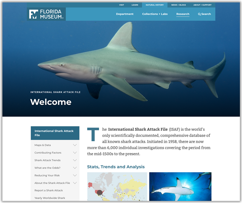 Shark Attacks website homepage screenshot