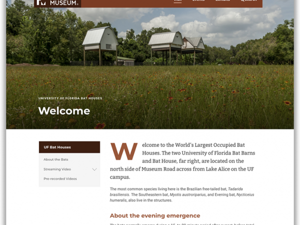 UF Bat Houses site homepage