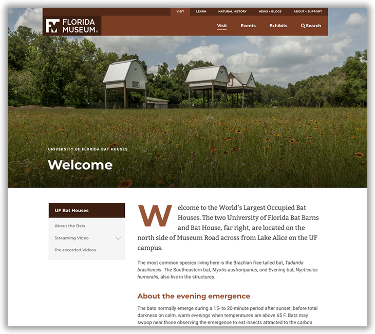 UF Bat Houses site homepage