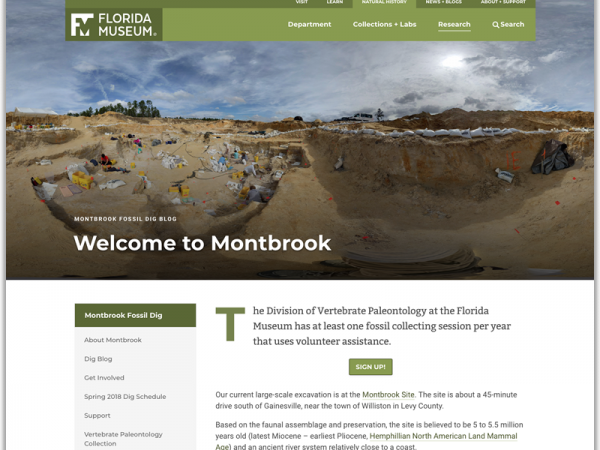 Montbrook Fossil Dig site homepage screenshot