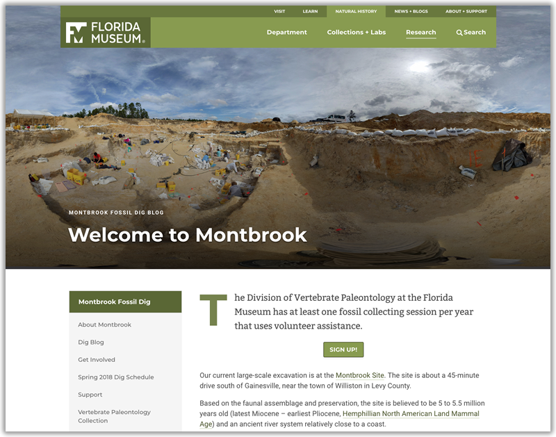 Montbrook Fossil Dig site homepage screenshot