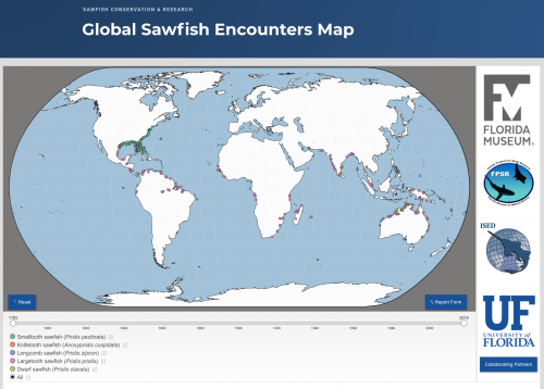 screenshot of sawfish encounters map