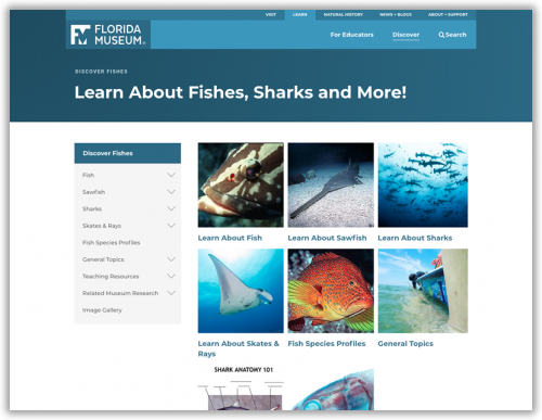 screenshot of fish eduction homepage