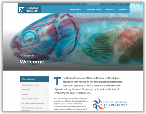 screenshot of Fish Collection homepage