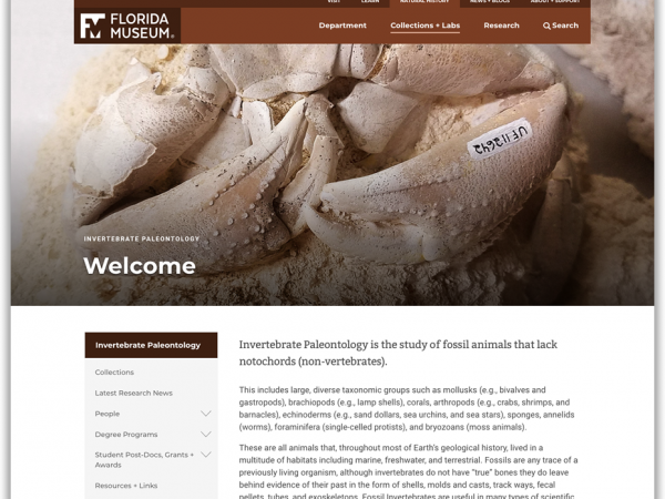 invertebrate paleontology homepage screenshot