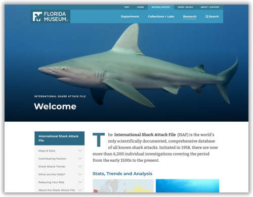 screenshot of shark attack file homepage