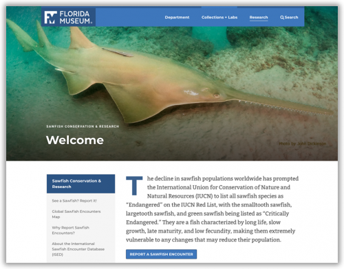 screenshot of Sawfish Research homepage