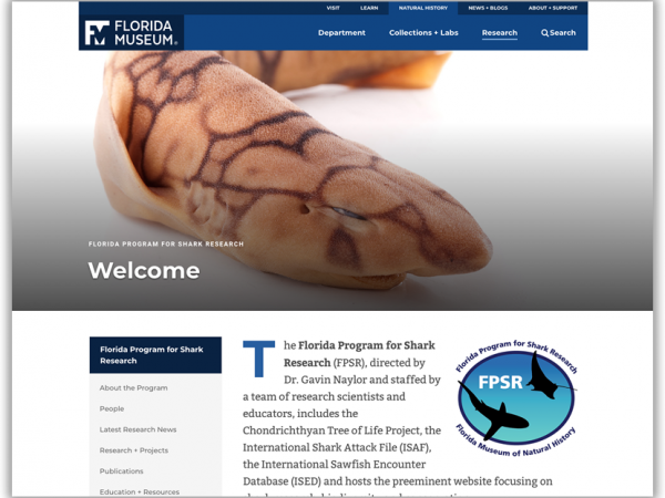screenshot of Shark Research homepage