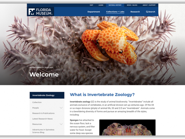 Invertebrate Zoology homepage screenshot