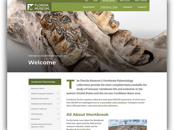 screenshot of Vertebrate Paleontology homepage