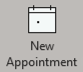 New Appointment button in Outlook