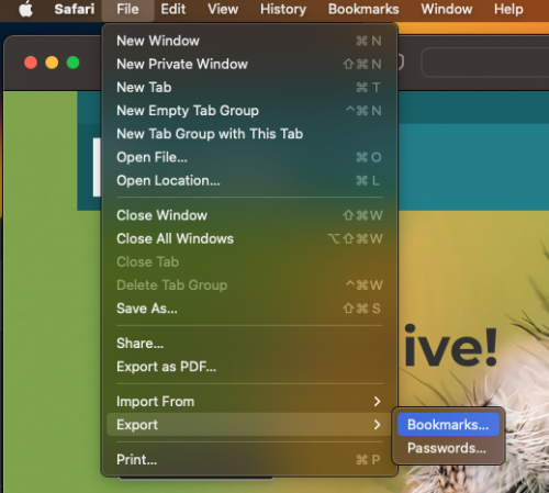 Screenshot of open Safari file menu.