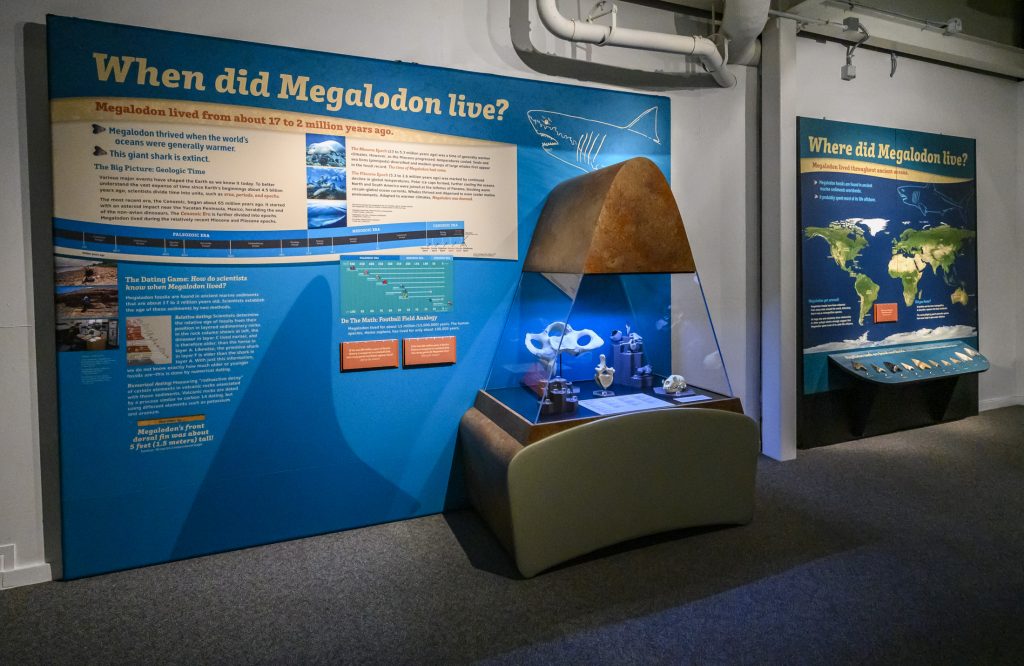 museum display panel showing a timeline of known shark evidence