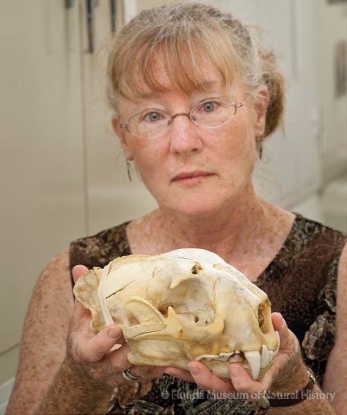 researcher holding panther skull