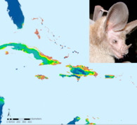 Caribbean modeling map