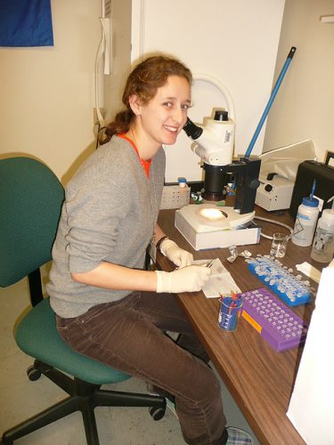 Student working on louse samples
