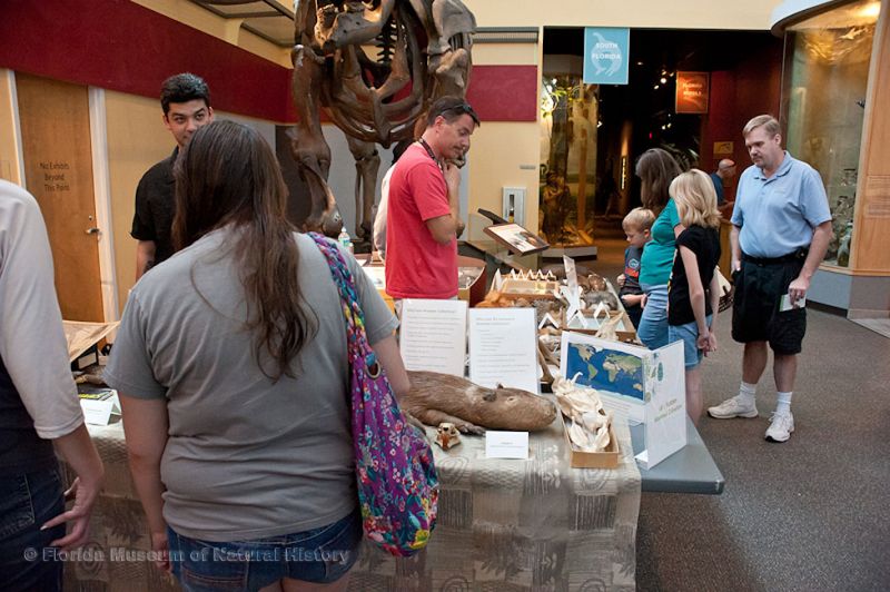 visitors look at mammal specimens on display