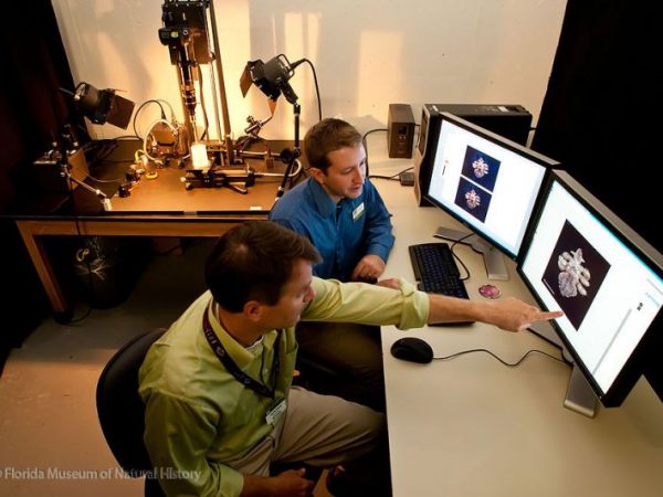 two researchers looking at computer screens