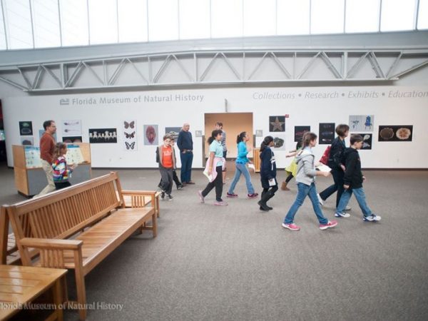 visitors in museum main gallery