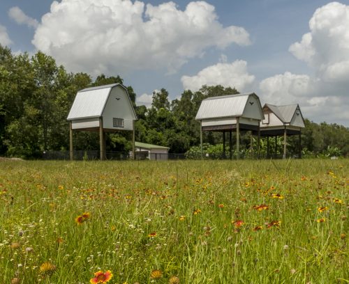 Three bat houses on UF campus. Three bat houses on UF campus.