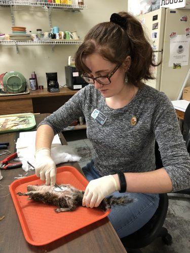 Eve prepping a squirrel