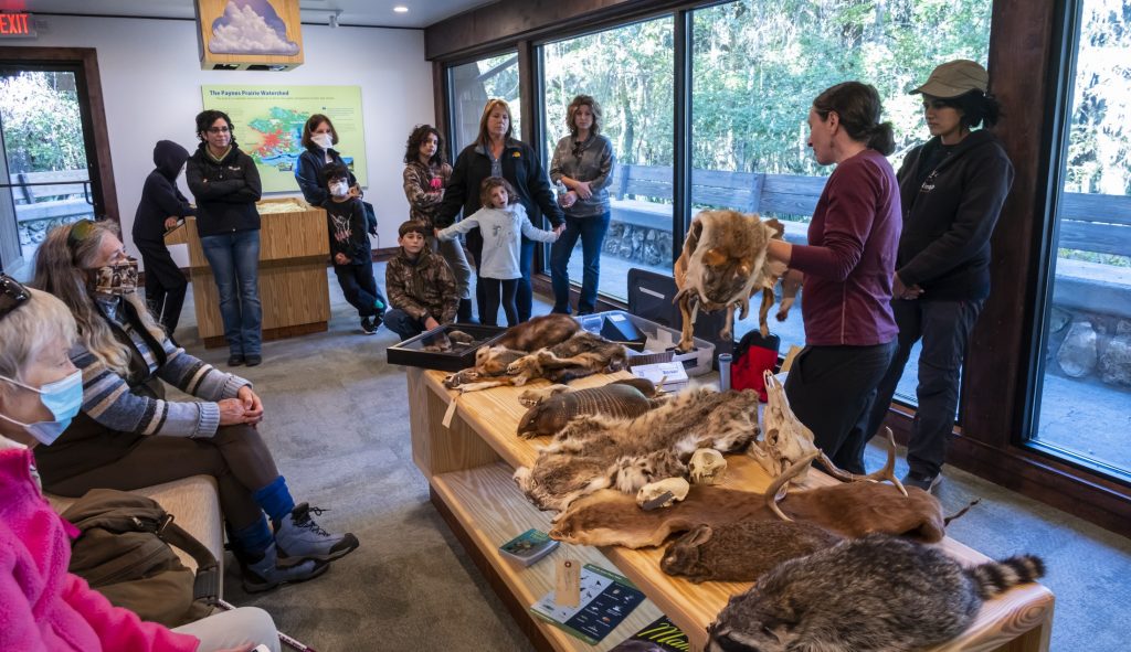two women behind a table of mammal skins and skulls talk to a group