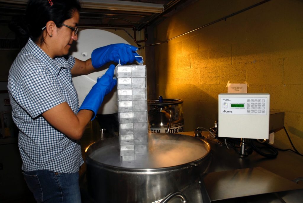 A storage rack being lifted from freezer