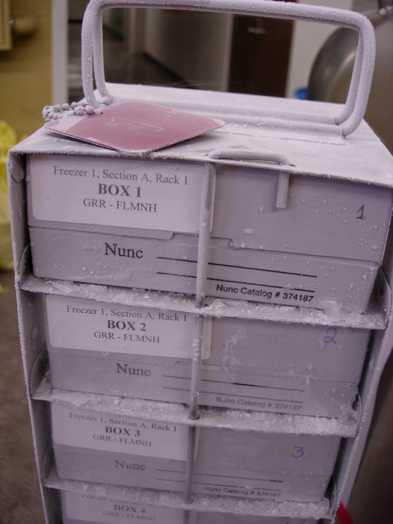 Rack with boxes of vials frozen