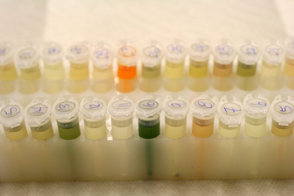 samples in vials